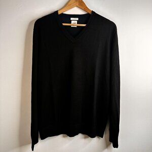 Gap Sweater Mens Large Merino Wool V Neck Pullover Lightweight Classic Preppy